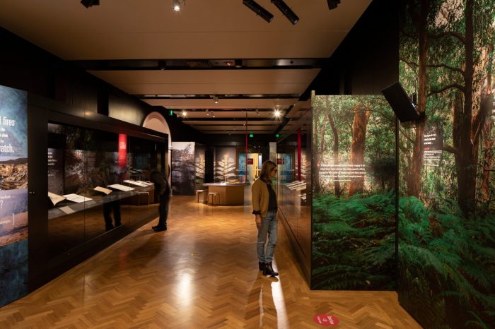 Exhibition installation views of Eight Days in Kamay