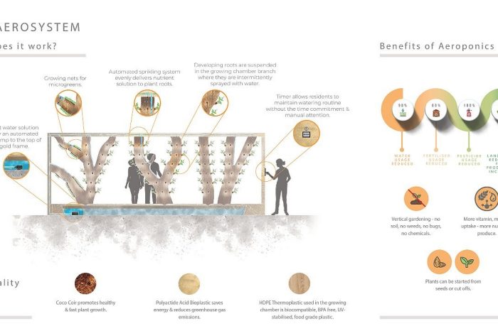 Irina Dubrovina work example 2