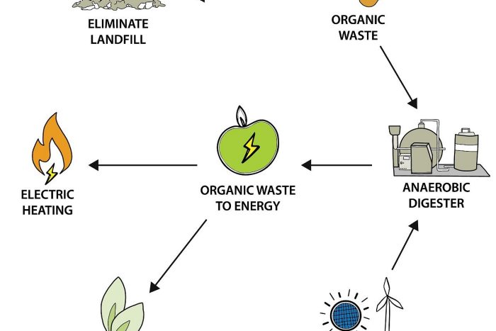Sofia Echesortu work example 2