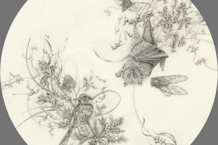 Eva Nolan's honeyeater artwork