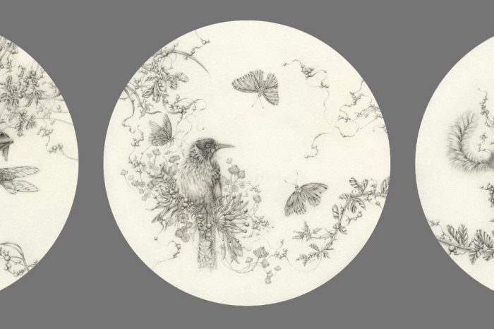 Eva Nolan's honeyeater artwork