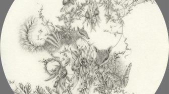 Eva Nolan's species artwork