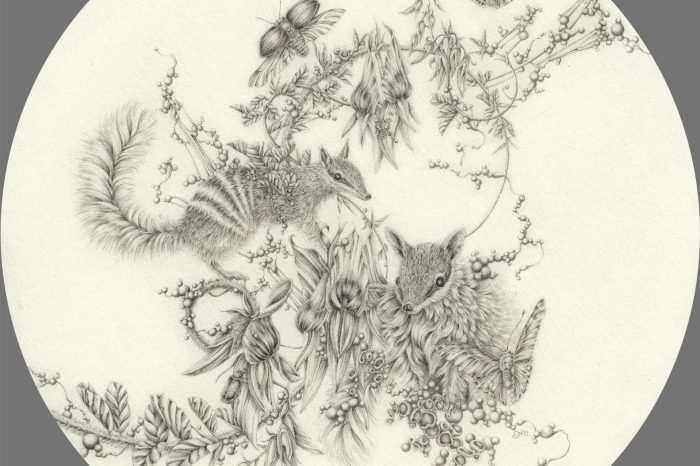 Eva Nolan's species artwork