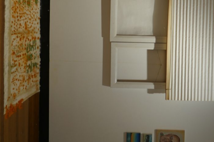 Aarushi Zarthoshtimanesh artwork 2