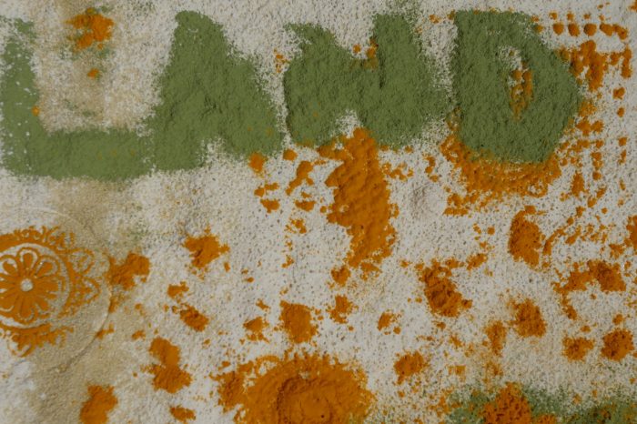 Aarushi Zarthoshtimanesh artwork 3