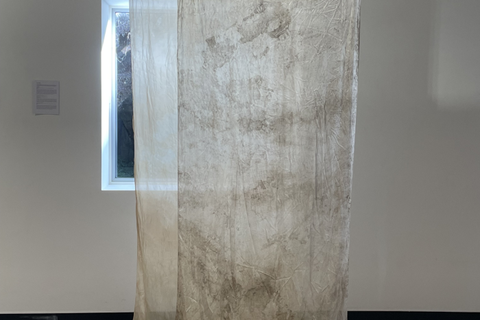 Lua Pellegrini artwork 1