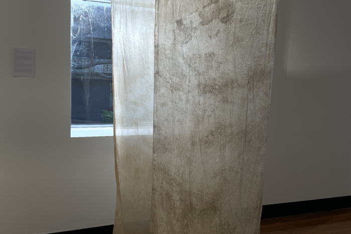 Lua Pellegrini artwork 2