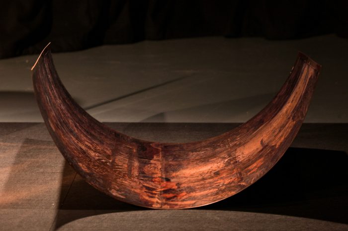 Close up of Vedika Rampal's artwork