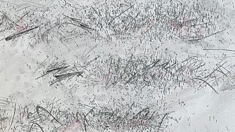 Close up of 'Smudged Line' by Lucy McLauchlan