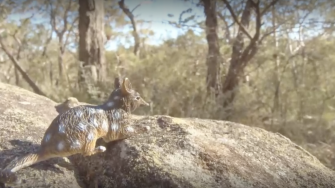 artwork by Harrison Mae