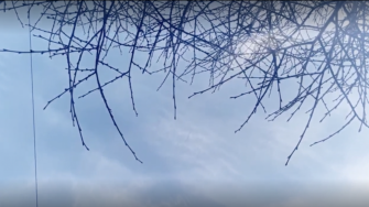 artwork by Lina Huynh