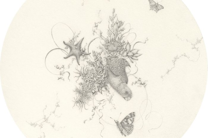 Eva Nolan Entanglings