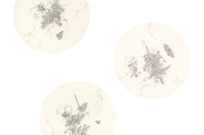 Eva Nolan Entanglings