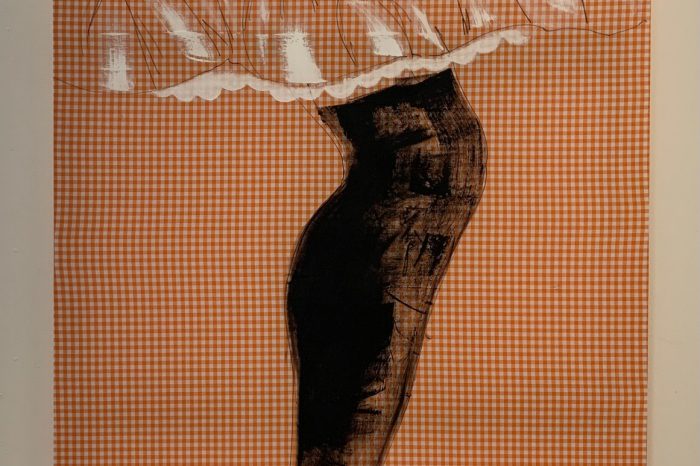 Bridget Fung's gingham - 2