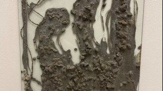 Mercedes Dunn's Fixed - image 1