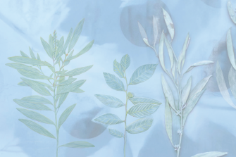 Drawing Research Group