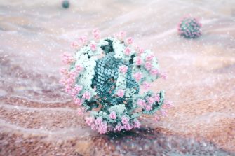 Image: Soap molecules interacting with the membrane of the virus, ripping it apart. Credit: Andrew Lilja and John McGhee (UNSW)