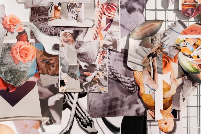 Skye Wagner ‘Behind Seal Kiss, Above Hind Legs, To Ginger Smile’, 2024. Steel mesh, Mixed prints: pigment, inkjet, laser, and offset.