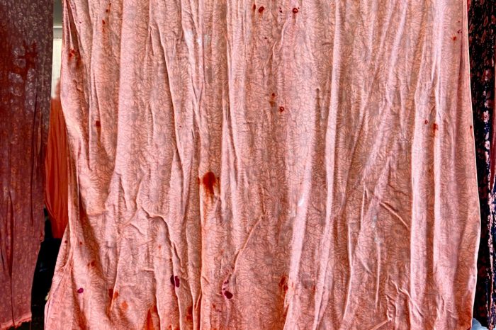 vedika rampal art piece for jenny brit award