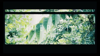 Summer diary artwork