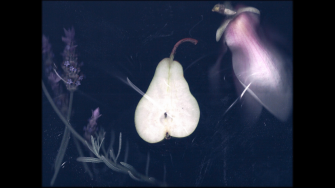 we are what we make of the veil artwork