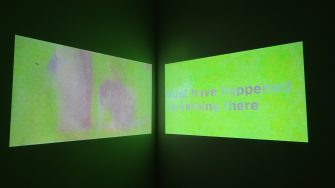 Emily Naya Schorowsky, 'Dogs at the Park' 2024, Video, 2:14 min, dimensions variable. 