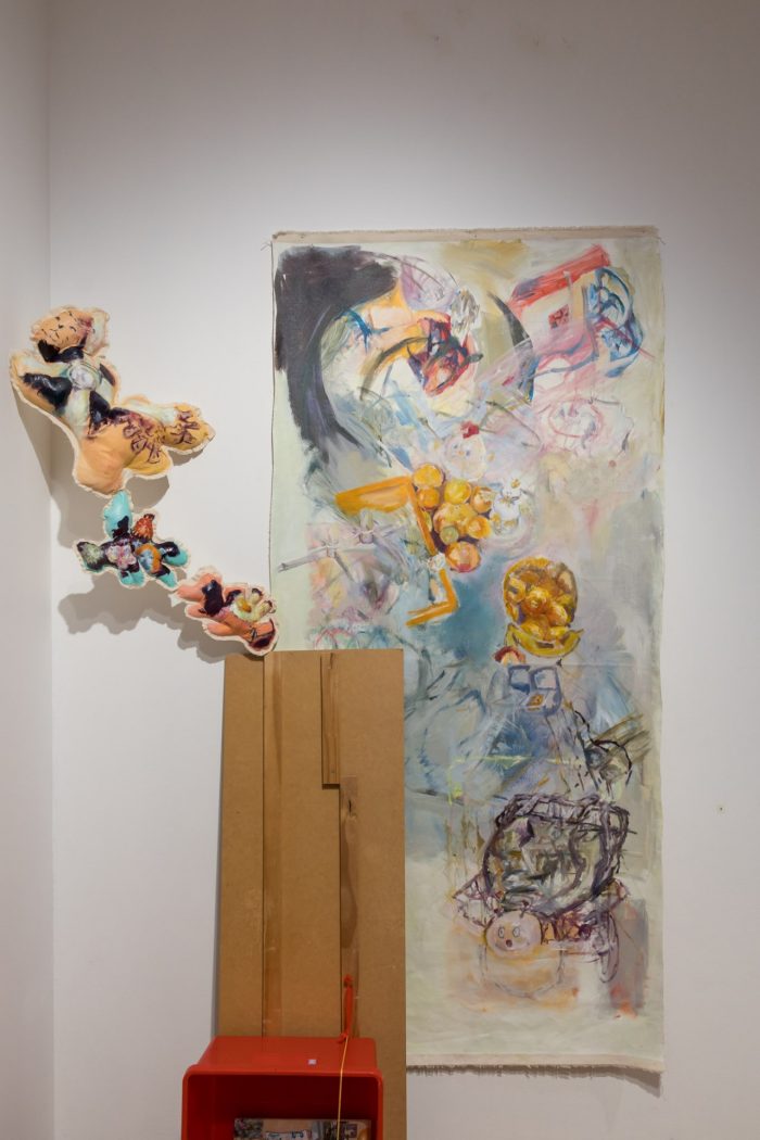 Mei Lin Meyers, ‘Fruit Bag Core’ 2025. Oil on recycled unstretched canvas, plywood, faux fur, paracord, images on printer paper, spray paint, polyester thread, buttons, acupressure ring, metal fixtures, tiger balm, family storage container, recycled calico and polyester fill, op-shop glass bowl; Floor work: approx. 130 x 50 x 15cm; Wall work: approx. 260 x 70cm.