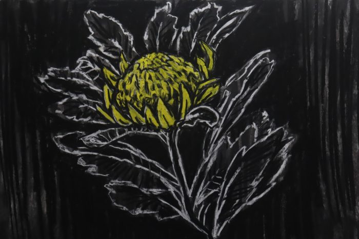 ‘Camp with me’ 2025. Digital video; chalk, charcoal & ink animation on paper, archival soundtrack. 3:50 minutes. With thanks to Mathew Nicholson (Lead and Follow) & Shae Mountain. Audio track features the voice of John Doremus from the radio series 'The Passing Parade' produced by Grace Gibson.