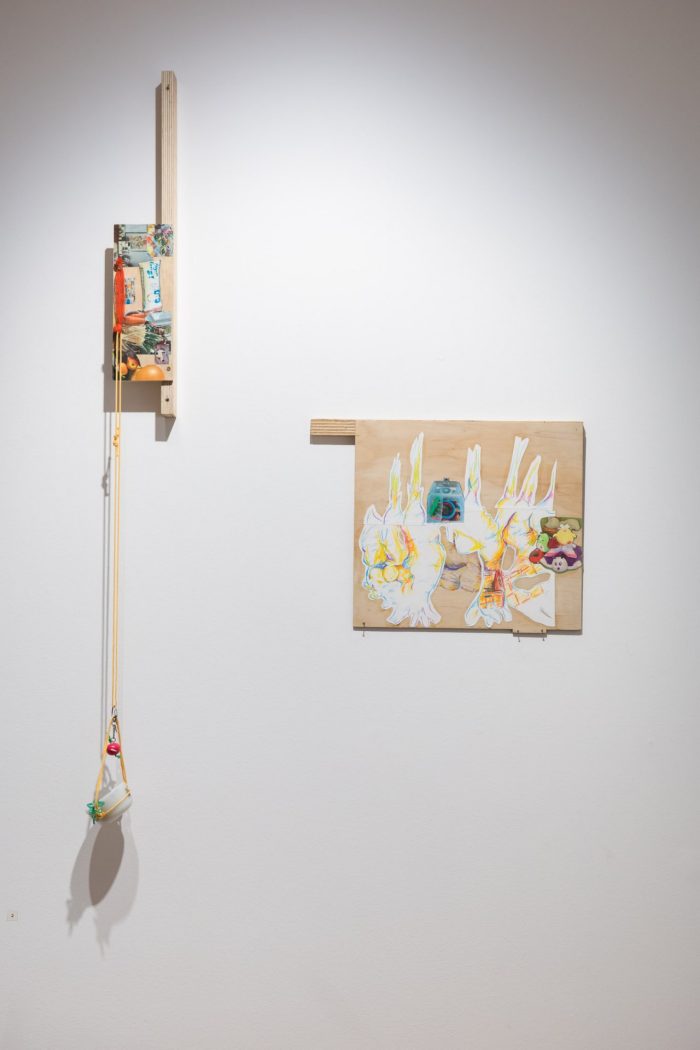 Mei Lin Meyers, ‘Rhizome’ (2025). Pencil on lined paper and cardstock, PVA glue, wood, printed photos, plastic containers, and objects. Photograph: Anna Kucera.