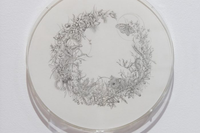 Eva Nolan, ‘Erasure’ (2021). Graphite pencil on paper, acrylic round, 32cm x 32 cm; 4k digital animation. Photograph: Anna Kucera.