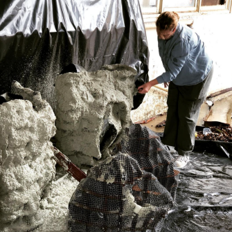 Creating a bioreef in Future Labs