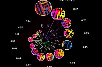 Sydney’s third city