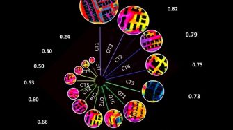 Sydney Third City Banner