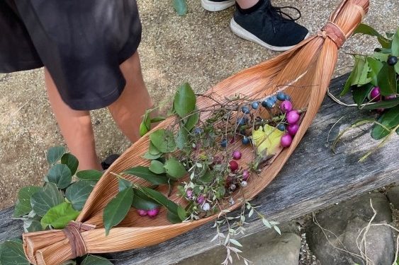 Fruit and leaves in a basket