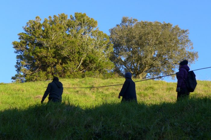 Photo of walking-based project 