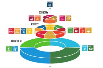 SDGs exploded