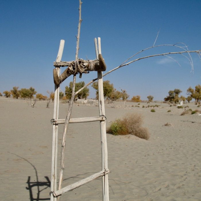 Silk road the ladder