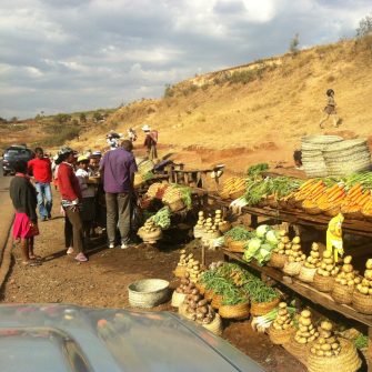 Environment & society