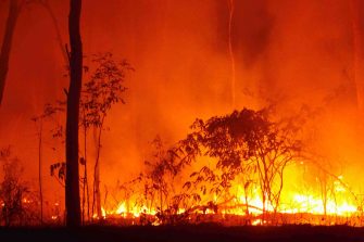 Image of a bush fire