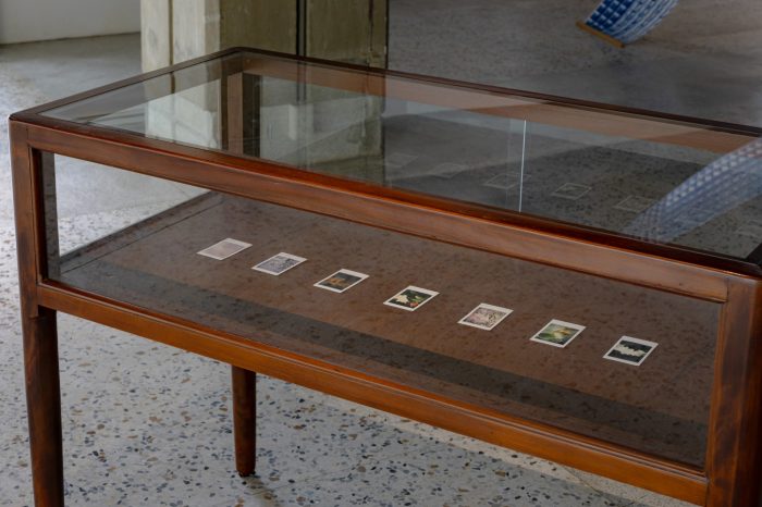 Tan Lijie, Bougainvillea Journey (2019-2020). 30 unique Polaroid photographs displayed in purpose-built vitrines, dimensions variable, each photograph 9 x 5.3 cm.