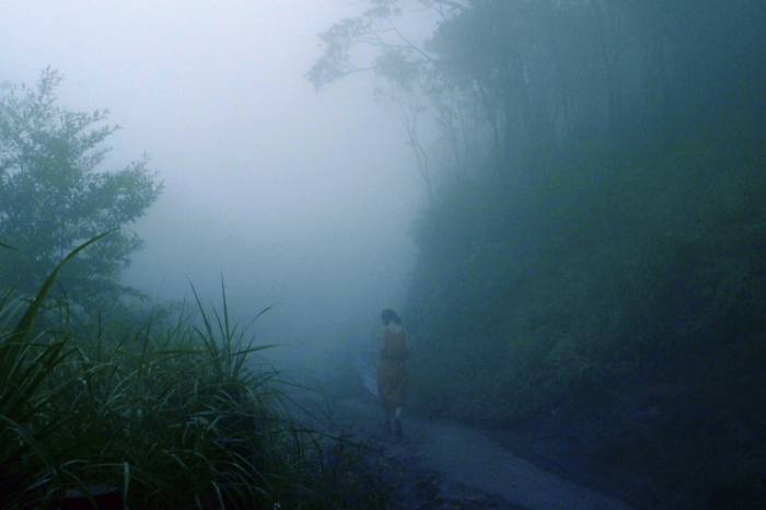 Hausmann in the Tropics