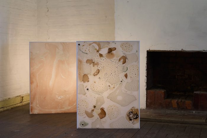 artwork by tan lijie