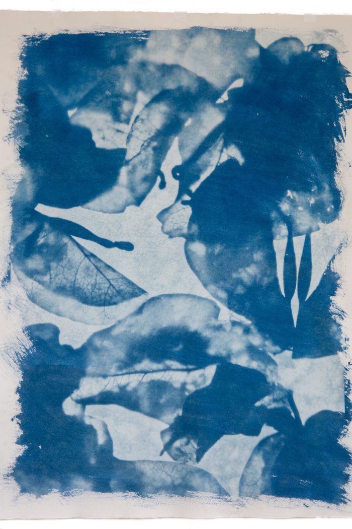 Let it be Forgotten, as a Flower is Forgotten (2023)