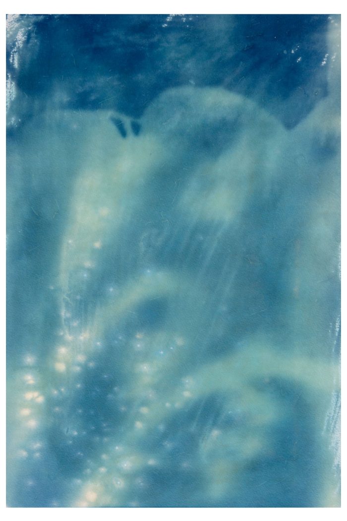 Let it be Forgotten, as a Flower is Forgotten (2023)