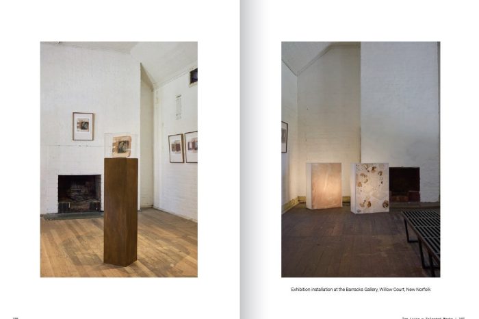 Tan Lijie Selected Works Preview 6