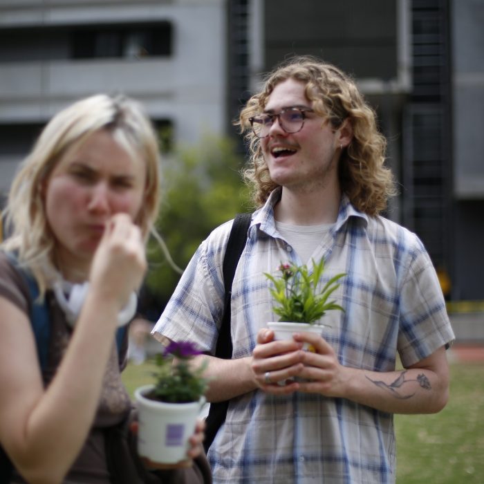 First year festival | Term 3 2024