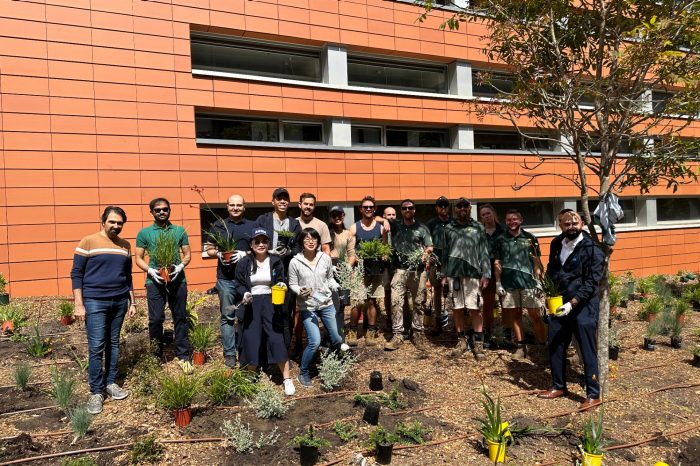 MBA and HDR Business School Student Volunteers helped the UNSW Landscaping team plant 1,200 plants alongside the Red Centre.