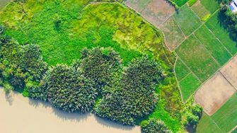 Environmental geography banner