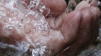 Water quality banner