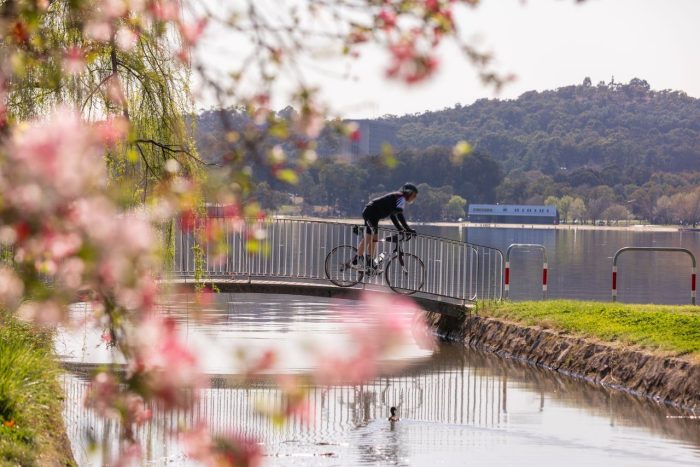 Spring blossoms in Canberra's Bowen Park, Kingston